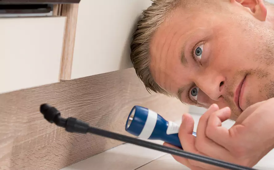 Top-Notch Pest Control in Norwalk