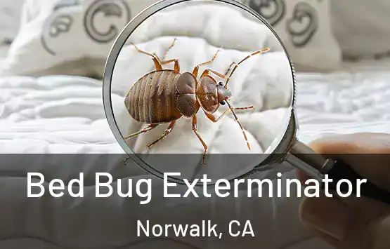  Bed Bug Exterminator Norwalk, CA
