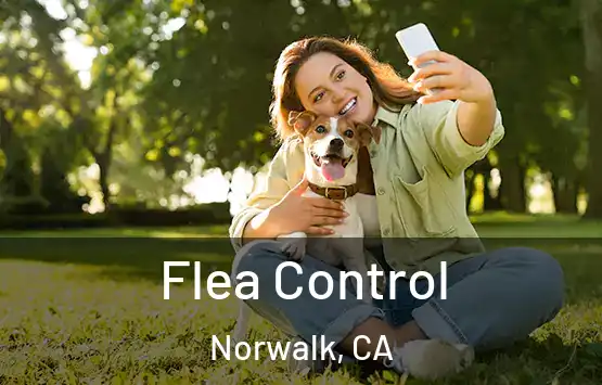  Flea Control Norwalk, CA