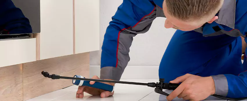 Commercial Pest Control for Offices in Norwalk, CA