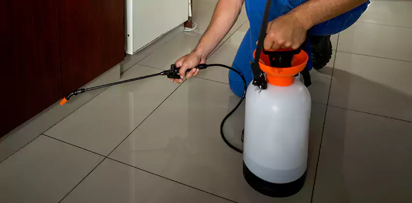 Commercial Pest Extermination for Offices in Norwalk, CA