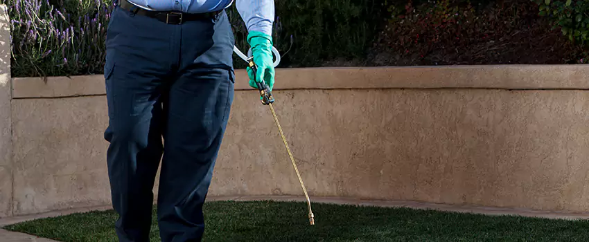 Emergency Pest Extermination for Children and Pets Norwalk, CA