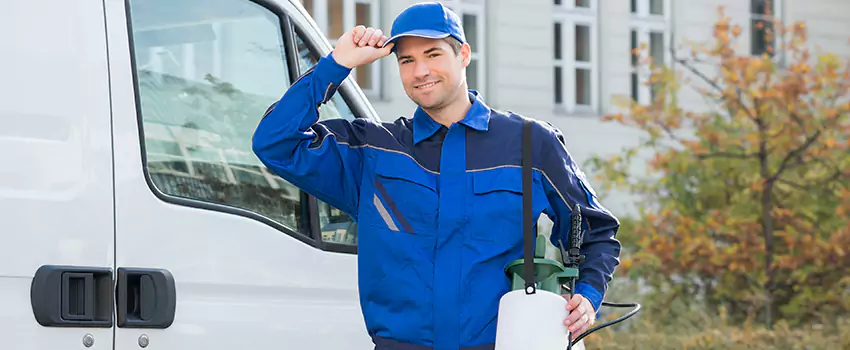 Organic and Chemical Spider Control Options Norwalk, CA