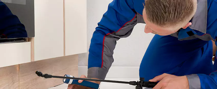 Termite Control for Children and Pets in Norwalk, CA