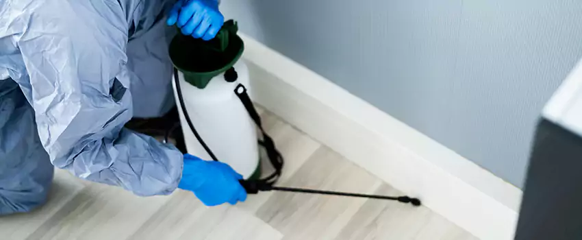 cockroach-exterminator in Norwalk, CA