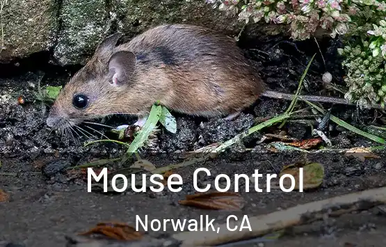  Mouse Control Norwalk, CA