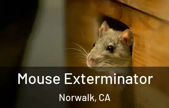  Mouse Exterminator Norwalk, CA