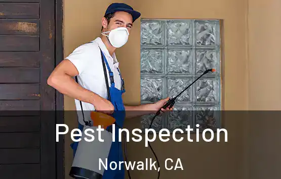  Pest Inspection Norwalk, CA