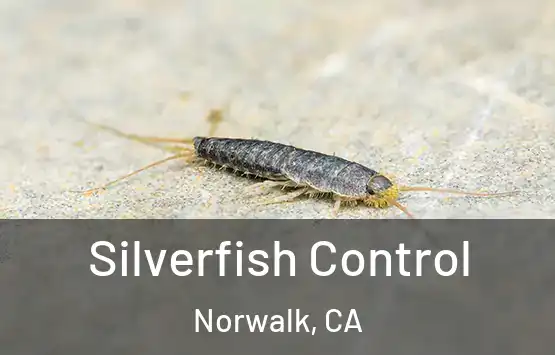  Silverfish Control Norwalk, CA