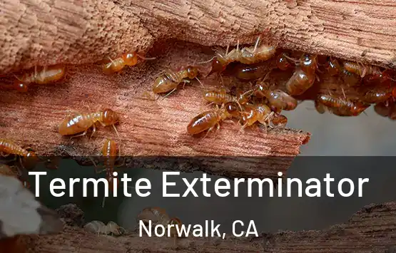  Termite Exterminator Norwalk, CA