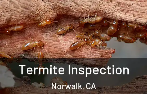  Termite Inspection Norwalk, CA