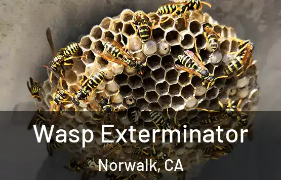  Wasp Exterminator Norwalk, CA